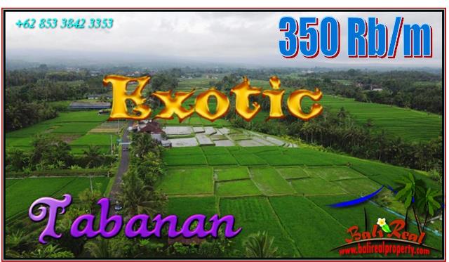FOR SALE Affordable PROPERTY 2,500 m2 LAND IN Penebel Tabanan BALI TJTB563